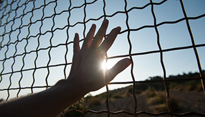 Hand in gate